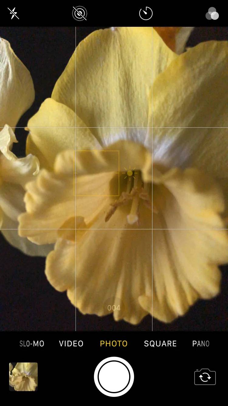 Easy Tips and Tricks for Better iPhone Photos (17)